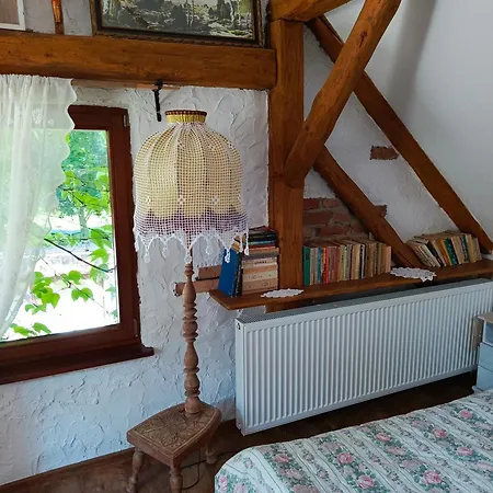 Nad Rumianem * Rybno (Dzialdowo)