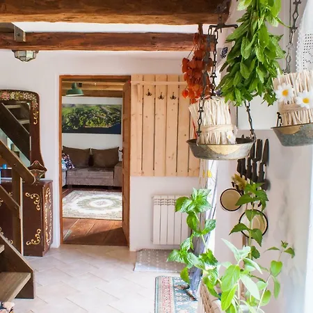 Holiday home Nad Rumianem Rybno (Dzialdowo)